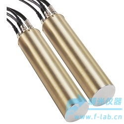 共面栅γ射线探测器_共面栅格碲锌镉EV-CPG_价格_厂家-辅光仪器