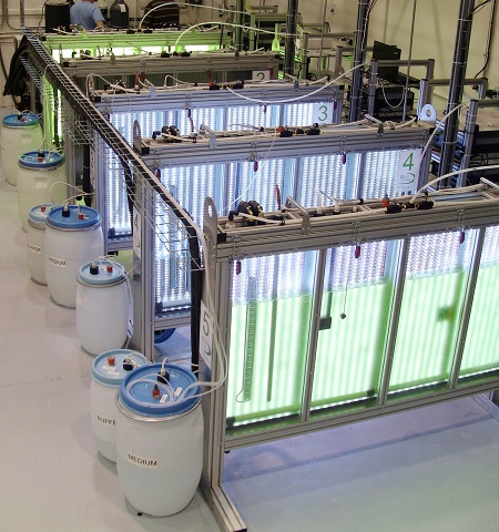 PSI大型光生物反应器_光生物反应系统Pbrs_价格_品牌