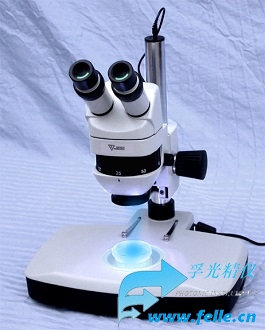 GFP/RFP体式荧光显微镜_荧光解剖显微镜_价格_品牌